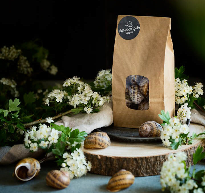 Que faire avec des coquilles d’escargots vides ?
