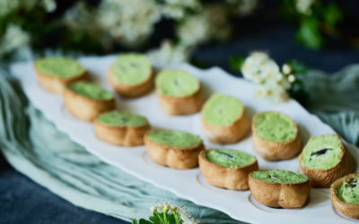 Comment choisir ses escargots pour un repas réussi ?