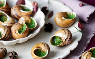 Escargots bio : pourquoi la qualité change tout ?